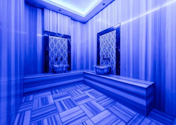 Zin D Sefin Aparts 5* イスタンブール