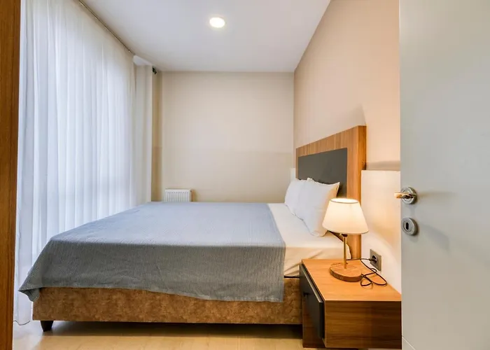 Zin D Sefin Aparts イスタンブール